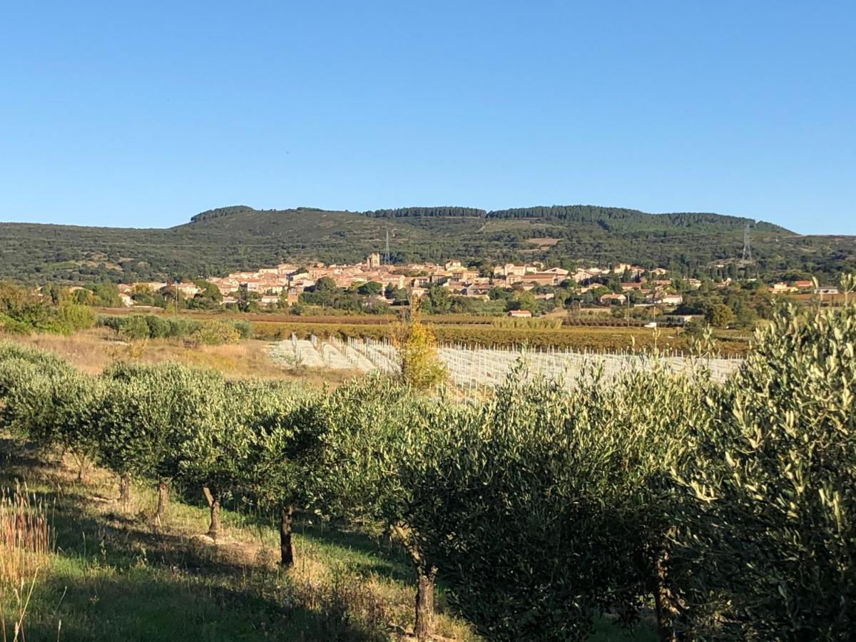 Val Des Bruyeres - Gite 15Mn Pezenas Avec Terrasse Et Cour Close - Parking Privatif Securise - Wifi Ftth Gratuit Neffies Dış mekan fotoğraf