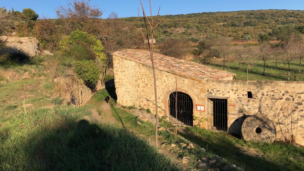 Val Des Bruyeres - Gite 15Mn Pezenas Avec Terrasse Et Cour Close - Parking Privatif Securise - Wifi Ftth Gratuit Neffies Dış mekan fotoğraf